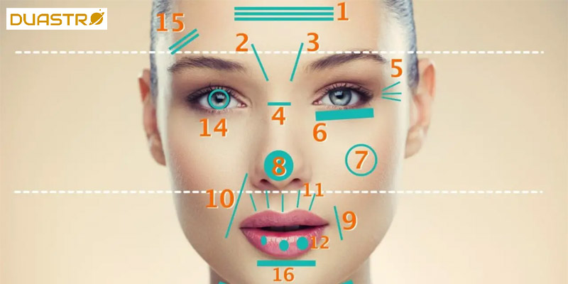 Facial Features in Face Reading - Insights into Character 